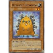 DP08-EN005 Quillbolt Hedgehog Commune