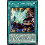 MP20-FR028 Bouclier Dragarde Commune