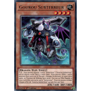 MP20-FR047 Gourou Subterreur Rare