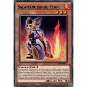 MP20-FR051 Salamangrande Fennec Commune