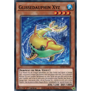 MP20-FR061 Glissedauphin Xyz Commune