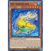 MP20-EN061 Xyz Slidolphin Commune