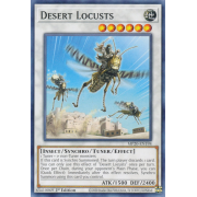 MP20-EN198 Desert Locusts Commune