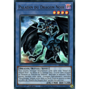 DLCS-FR069 Paladin du Dragon Noir Ultra Rare