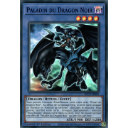 DLCS-FR069 Paladin du Dragon Noir Ultra Rare (Bleu)