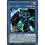 DLCS-FR069 Paladin du Dragon Noir Ultra Rare (Vert)