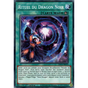 DLCS-FR070 Rituel du Dragon Noir Commune