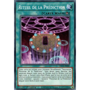 DLCS-FR087 Rituel de la Prédiction Commune