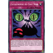 DLCS-FR088 Catastrophe du Chat Noir Commune