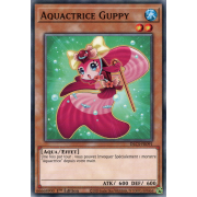 DLCS-FR091 Aquactrice Guppy Commune