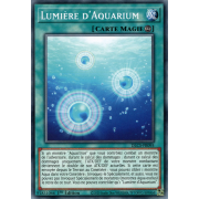DLCS-FR095 Lumière d'Aquarium Commune