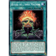 DLCS-FR111 Rituel de l'Ange Machine Commune