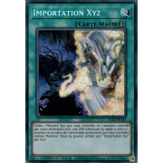 DLCS-FR145 Importation Xyz Secret Rare
