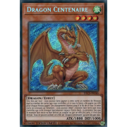 DLCS-FR146 Dragon Centenaire Secret Rare