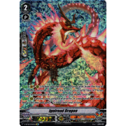 V-BT08/SP09EN Igniroad Dragon Special Parallel (SP)