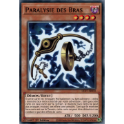 LED7-FR010 Paralysie des Bras Commune