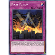 DLCS-EN020 Final Fusion Commune