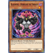 DLCS-EN031 Blackwing - Hurricane the Tornado Commune