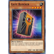 DLCS-EN036 Gate Blocker Commune