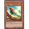 DP11-EN011 Blackwing - Jetstream the Blue Sky Ultra Rare