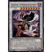 DP11-EN015 Blackwing - Silverwind the Ascendant Rare