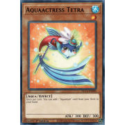 DLCS-EN090 Aquaactress Tetra Commune