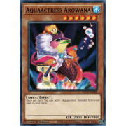 DLCS-EN092 Aquaactress Arowana Commune