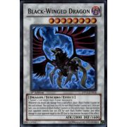 DP11-EN016 Black-Winged Dragon Super Rare