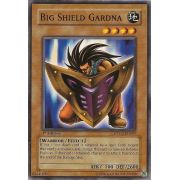 DPYG-EN009 Big Shield Gardna Commune