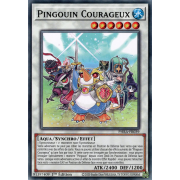 PHRA-FR039 Pingouin Courageux Commune