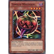 SDDC-FR016 Tomate Mystique Commune