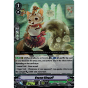 V-BT11/027EN Besom Ringtail Double Rare (RR)