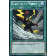 YS12-EN019 Blustering Winds Commune