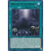 MAGO-EN090 Domain of the True Monarchs Rare (Or)