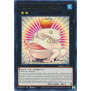 MAGO-EN134 Toadally Awesome Rare (Or)