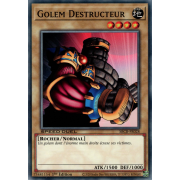 SBCB-FR028 Golem Destructeur Commune