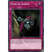 SBCB-FR144 Filin de Survie Commune