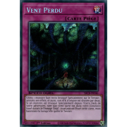 SBCB-FR146 Vent Perdu Secret Rare