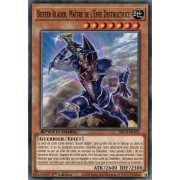 SBCB-FR182 Buster Blader, Maître de l'Épée Destructrice Commune