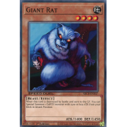 SBCB-EN047 Giant Rat Commune