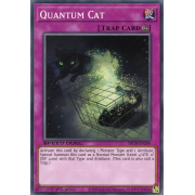 SBCB-EN200 Quantum Cat Commune