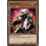 LDS2-FR002 Kaibaman Commune