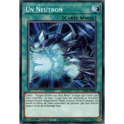 LDS2-FR026 Un Neutron Commune