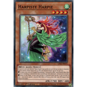 LDS2-FR075 Harpiste Harpie Commune