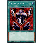 LDS2-FR079 Cyberbouclier Commune