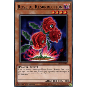 LDS2-FR098 Rose de Résurrection Commune