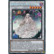 LDS2-FR113 Demoiselle de la Rose du Jardin Secret Rare