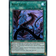 LDS2-FR119 Rose Gelée Ultra Rare (Vert)