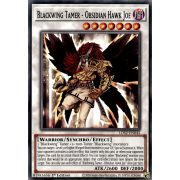 LDS2-EN042 Blackwing Tamer - Obsidian Hawk Joe Commune