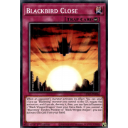 LDS2-EN046 Blackbird Close Commune